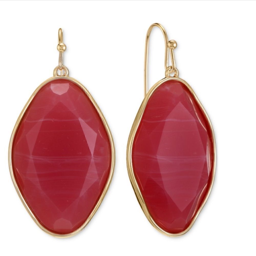 NWT Style & Co Stone Drop Earrings
